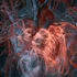 draw medical and science illustrations