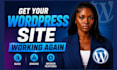 fix wordpress issues, fix wordpress website, wordpress fix, wordpress bug fix