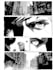 make comic book page and custom illustration