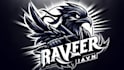 make creative wall mural ninja raven mascot logo