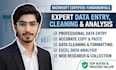 do data entry data cleaning  excel data analysis