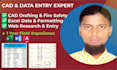 do autocad 2d drafting, excel data entry and web research