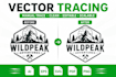 do vector tracing, redraw, image to vector, vector logo, vectorize image,