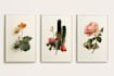 make paint watercolour botanical illustrations