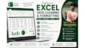 clean, format and organize your excel data