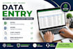 do accurate data entry and web research