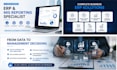 provide erp mis reporting payroll and IT support