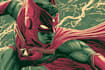 make your book illustration superhero comes art