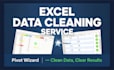 do excel data entry, cleaning, pivot tables,