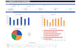 create an interactive excel dashboard and data visualization