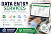 do professional data entry, excel, web research and copy paste