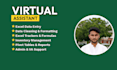 do excel data entry and virtual assistant tasks