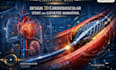 design 3d cardiovascular stent  and catheter  animation