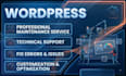 manage wordpress website maintenance and custom site updates