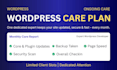 be your dedicated wordpress website maintenance and care plan expert