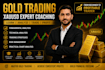 teach  gold and forex trading