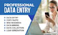 be your expert virtual asistant