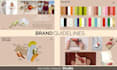 create professional brand guidelines and visual identity