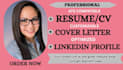 write a professional resume
