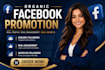 professionally grow your facebook page followers