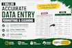 do accurate microsoft excel data entry, formatting and cleaning