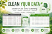 clean organize and automate excel or CSV data using python