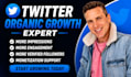 do organic x twitter promotion to increase impression and complete monetization