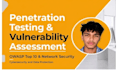 do web  penetration testing and vulnerability assessment