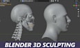 sculpt realistic bust model, head or anatomy in blender
