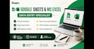 do professional data entry copy paste and web research work