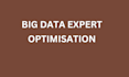 do big data expert