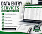 do accurate data entry, excel, copy paste and web research