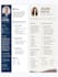professional resume, CV design