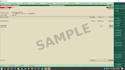 do tally prime bookkeeping, accounting ,and gst data entries
