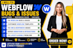 fix webflow bugs, layout issues, cms issues and responsive problems