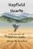 design a custom ebook cover for your novel