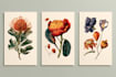draw hand drawn botanical