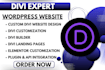 develop divi website for wordpress divi theme divi builder divi customization