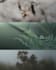 professional photo editing and retouching