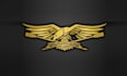 make classic nautical logo for american speed works