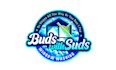 design window washing business buds logo