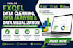 do excel data cleaning, data analysis and data visualization