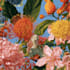 draw create a botanical illustration, traditional watercolor
