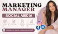 manage instagram or linkedin and create professional content