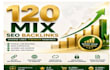 build 120 manual mix backlinks for SEO link building