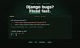 fix bugs and errors in your django application