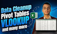 do excel database entry, cleanup, and organization