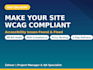 test your website accessibility and provide a wcag audit