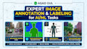 do data annotation and image labeling for object detection task