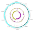 do analyse next generation sequence data